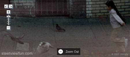 pigeons.jpg
