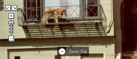 dogbalcony.jpg