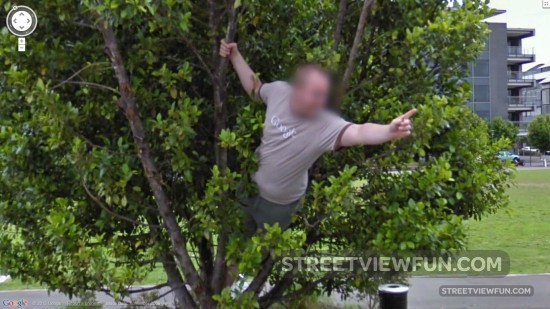 manonthetreepointing