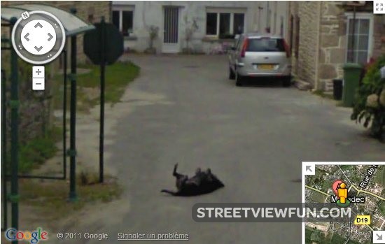 must have been a really funny joke