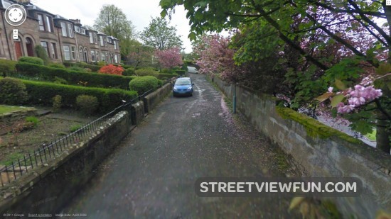 watchgoogledestroyagarden