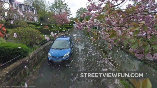 watchgoogledestroyagarden2