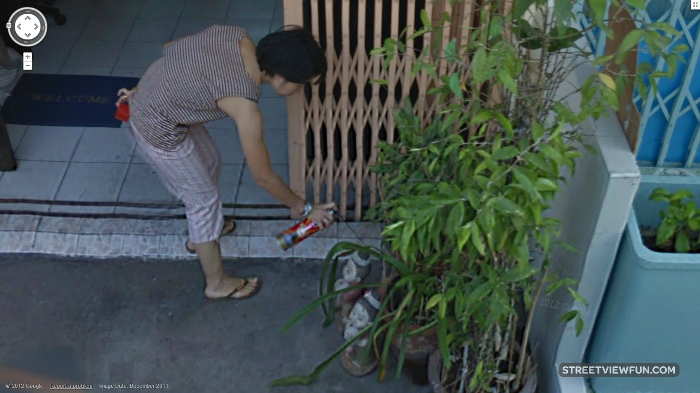 Dusting plants in Thailand StreetViewFun