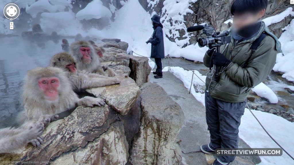 Amazing Hot tub monkeys in Japan StreetViewFun