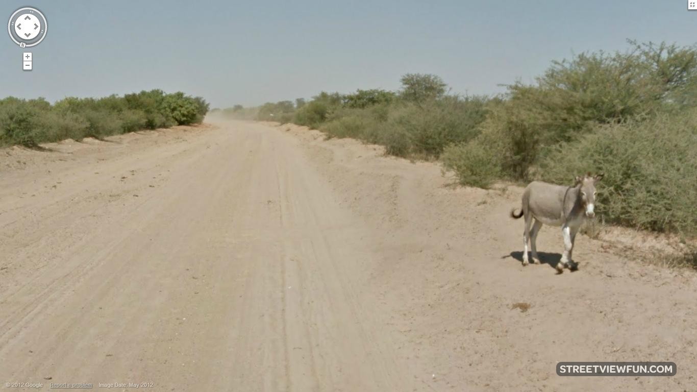 Google Maps StreetView car hit a donkey in Botswana? StreetViewFun