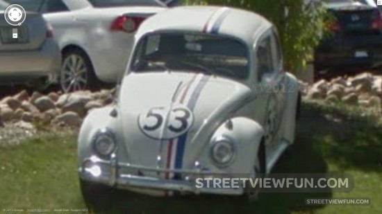 herbie