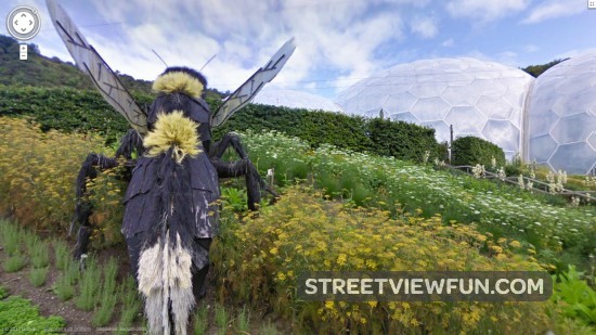 somethingwentwrongwithflytheexperiment