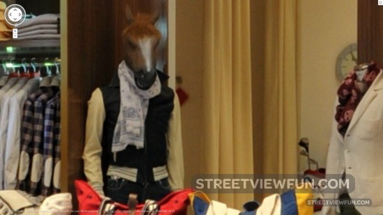 horseboyisbackitaly2