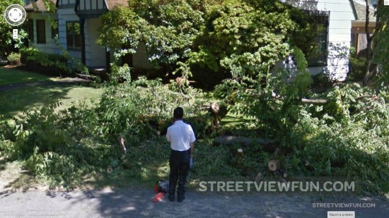 cuttingdownsometrees