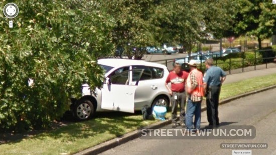 guydrivingintoatree3