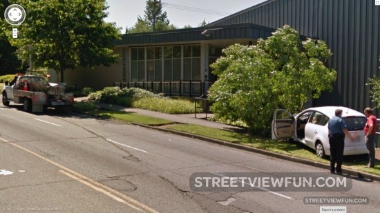 guydrivingintoatree4