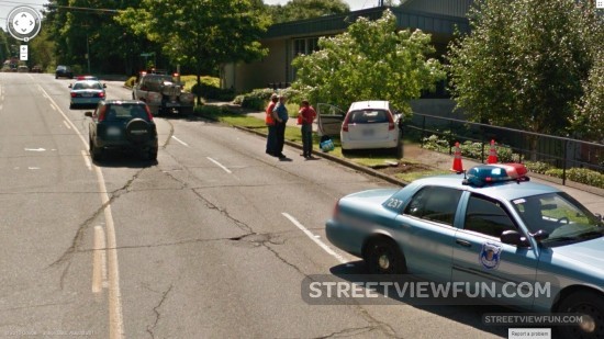 guydrivingintoatree5