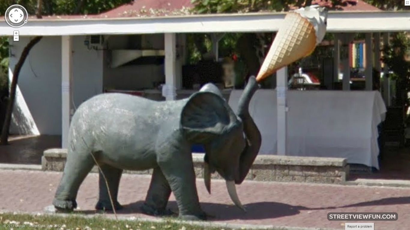 Elephant with an Ice Cream StreetViewFun