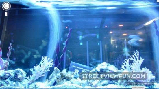 greatbarrierreefdiningtokyo