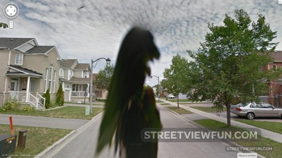 tree-angry-old-lady-google-street-view