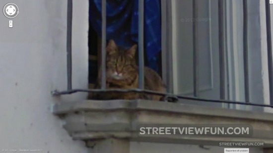 grumpy-cat-is-on-google-street-view