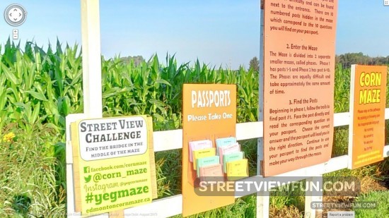 corn-maze-google-street-view-challenge-bridge