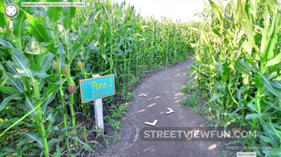 corn-maze-google-street-view-challenge-question