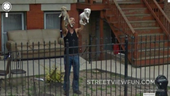 guy-holding-puppies