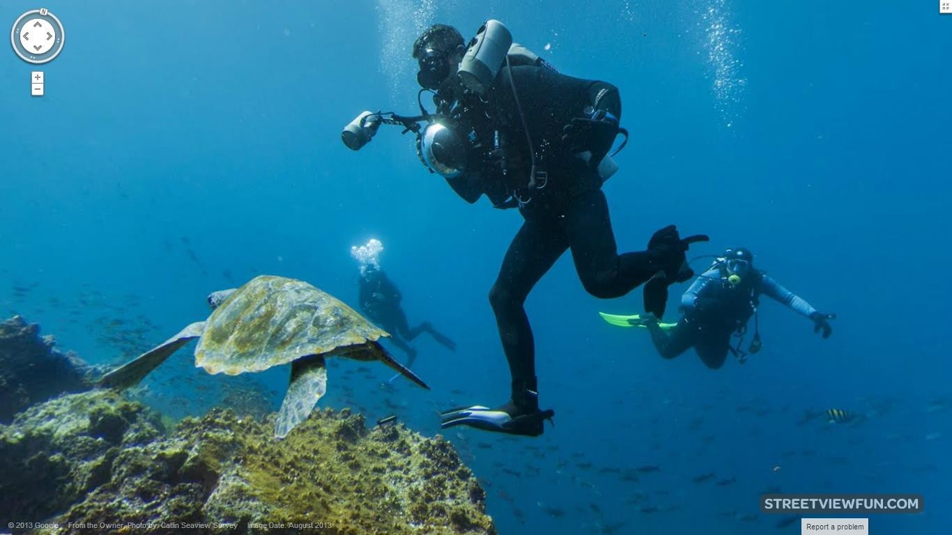 Diving with turtles on Google Street View at Galapagos Islands