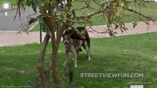 like-they-do-on-the-discovery-channel