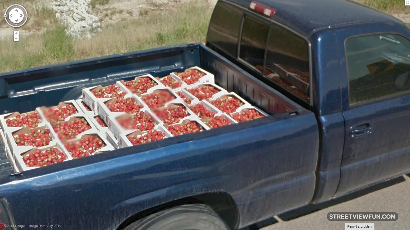 Pickup strawberries StreetViewFun