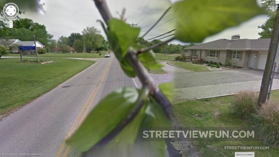 tree-branch-google-street-view2