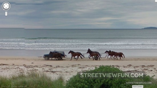 horses-on-the-beach