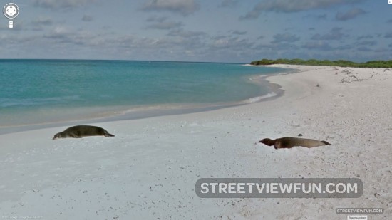 lisianski-island-hawaii3