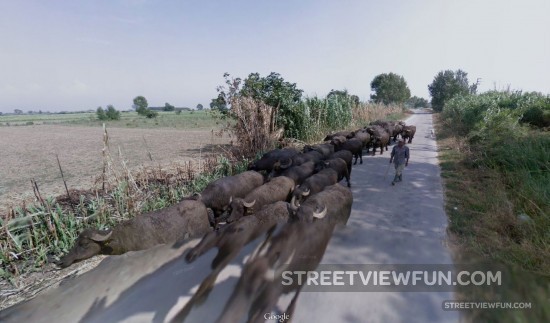 why-street-view-delayed