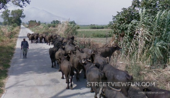 why-street-view-delayed2