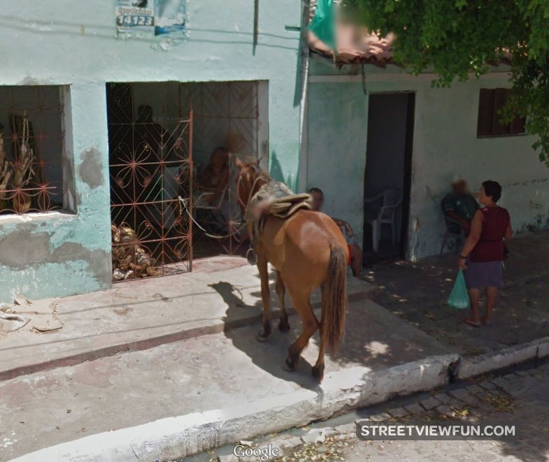 Rode a horse to the store StreetViewFun