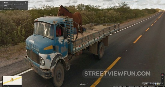 horse-trailer-no