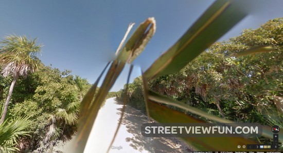 theres-something-in-the-way