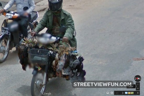 cambodian-poultry-transport5