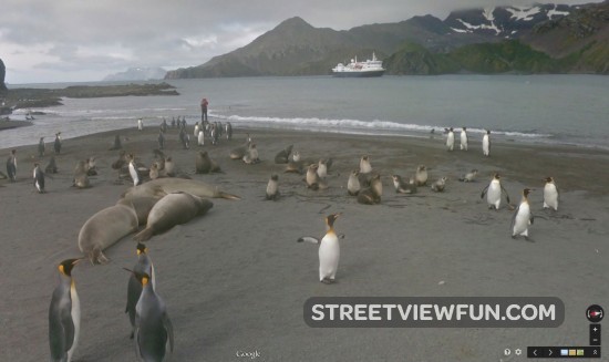 south-georgia-island-street-view