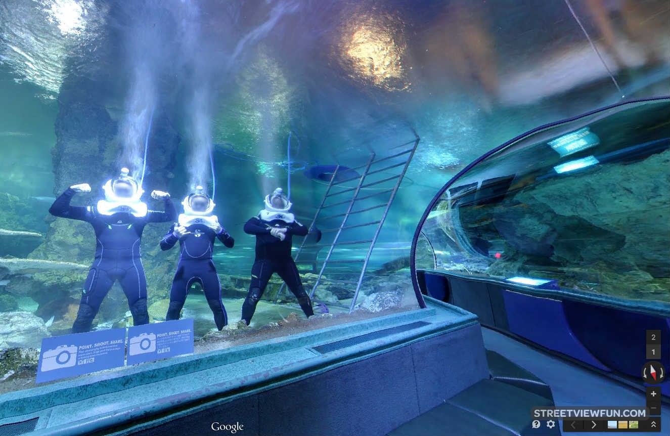 Divers at Guam Underwater World strike a pose for Google Street View
