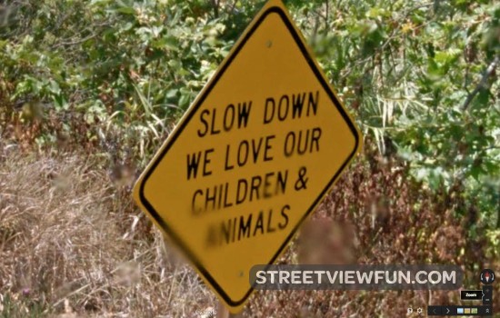 slow-down-sign-funny