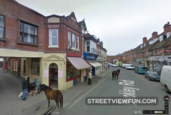 wild-horses-town-uk