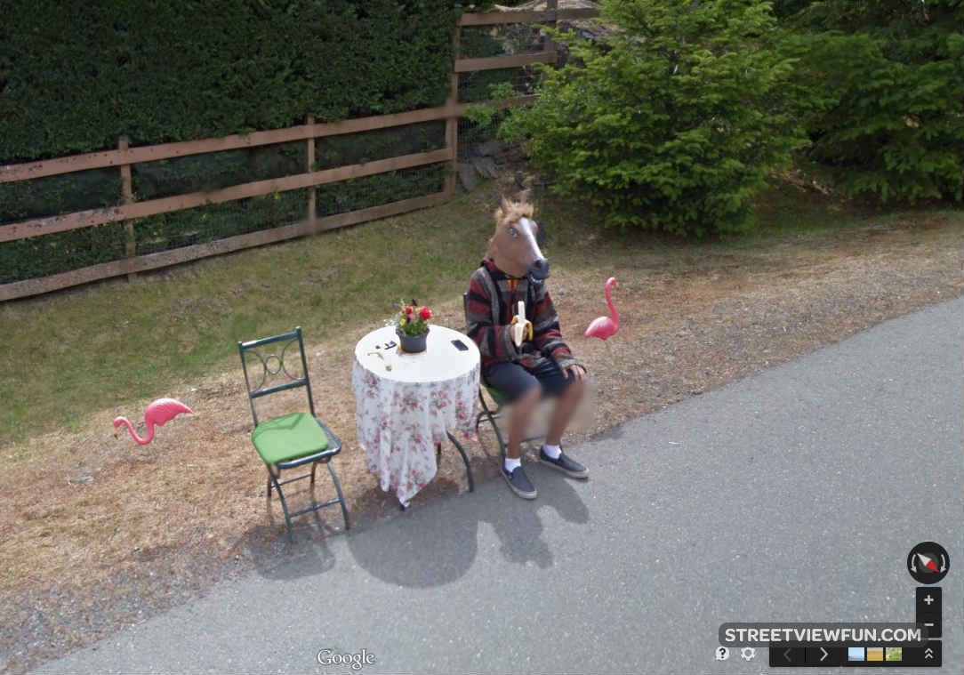 Canadian Horseboy StreetViewFun