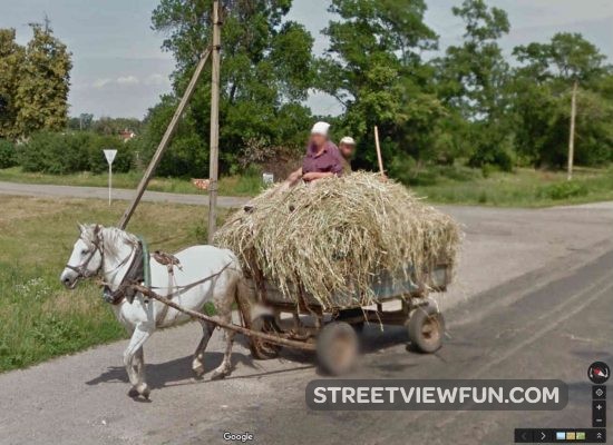 horse-cart