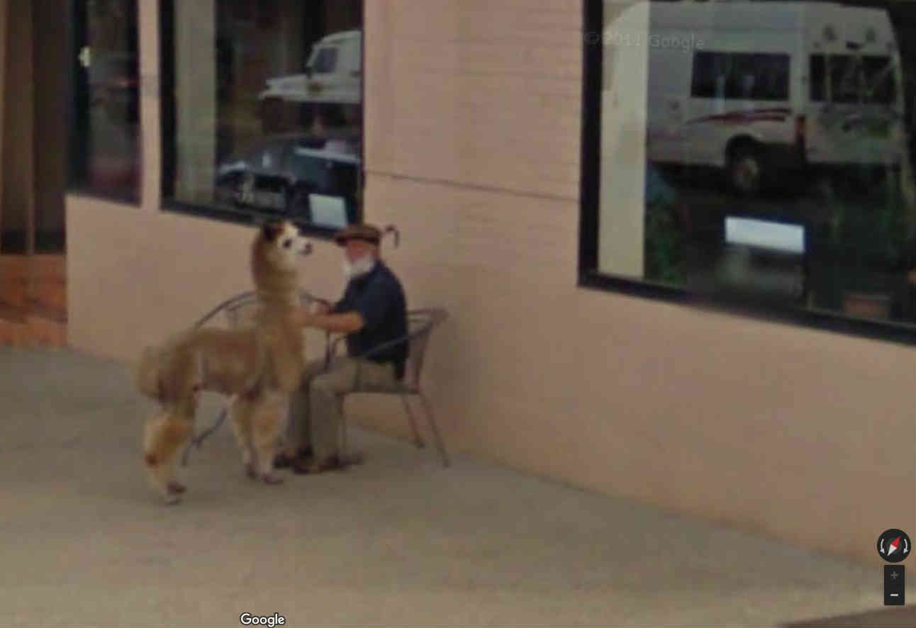 Australian pets… StreetViewFun