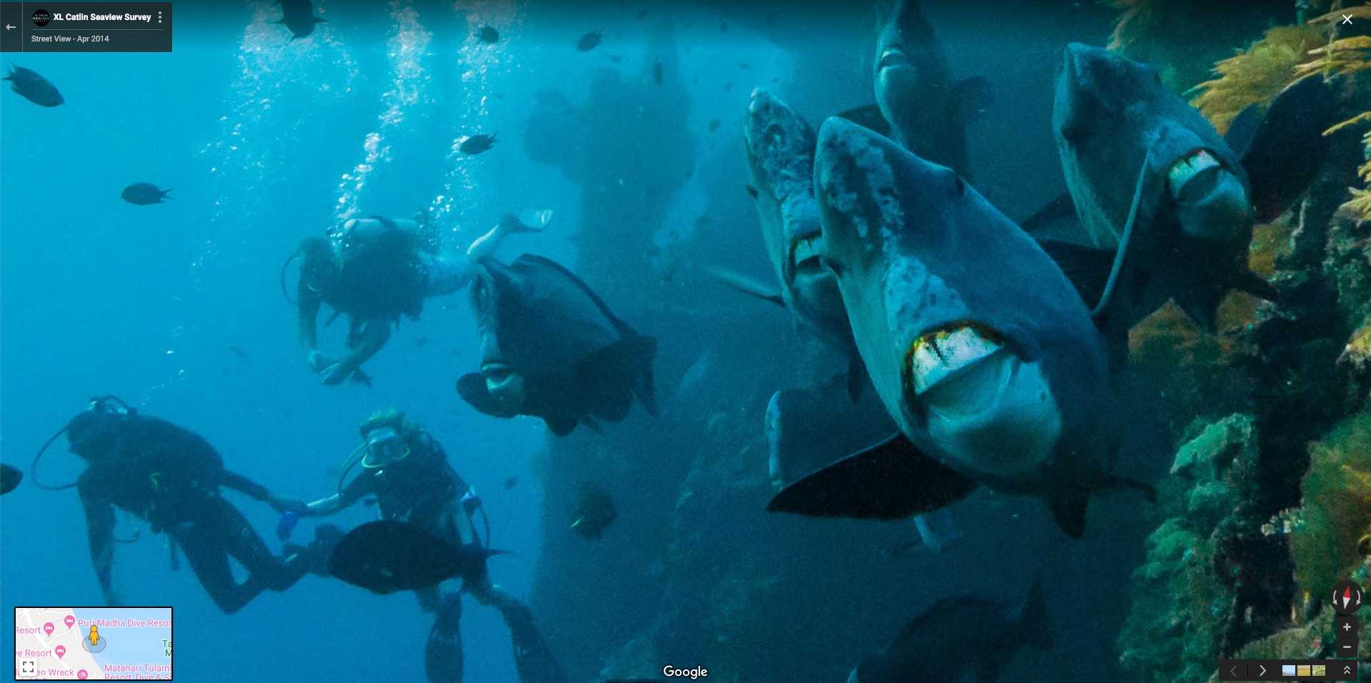 Fish with big teeth - StreetViewFun