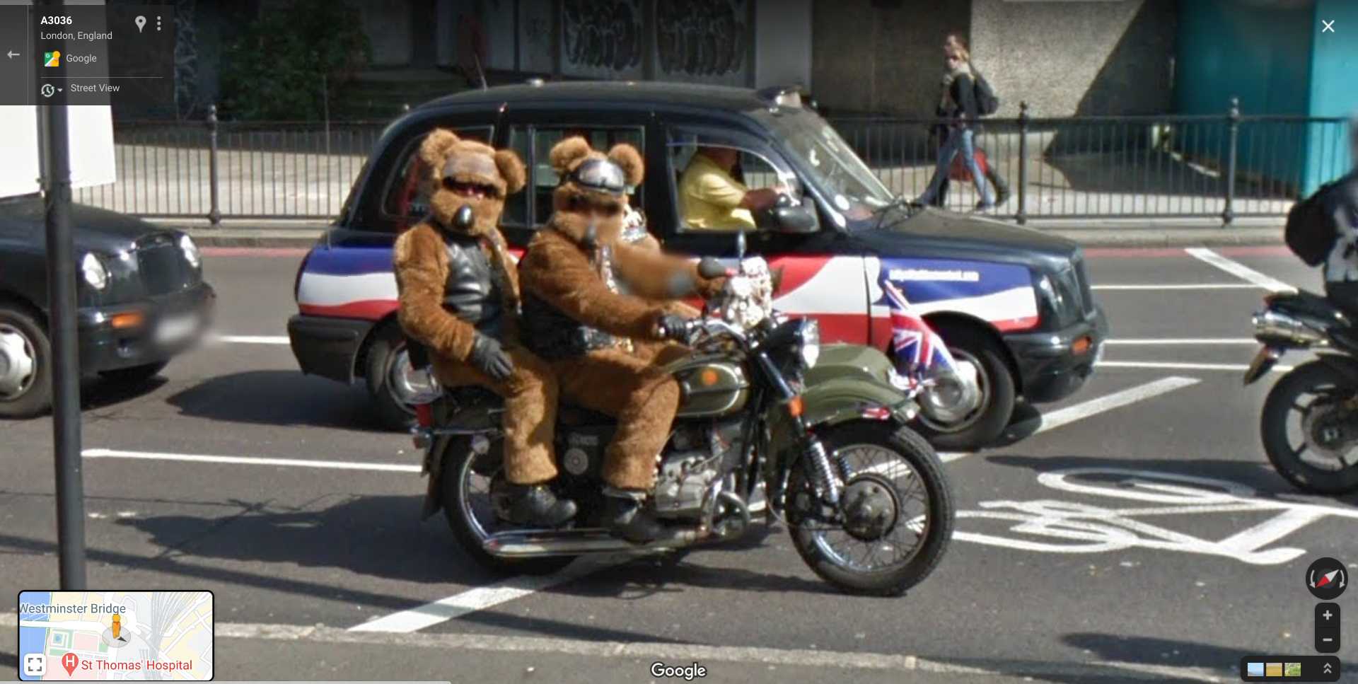 bears on a bike