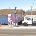 pink elephant