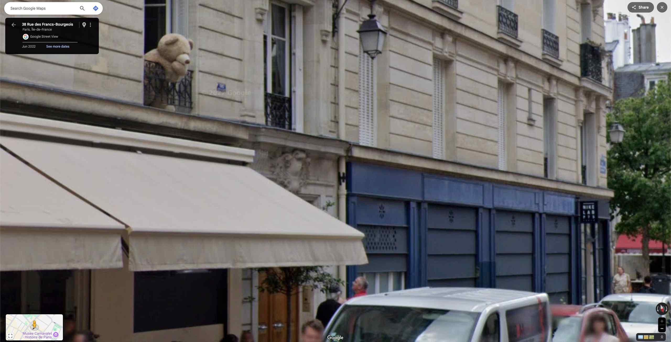 teddy bear in the window