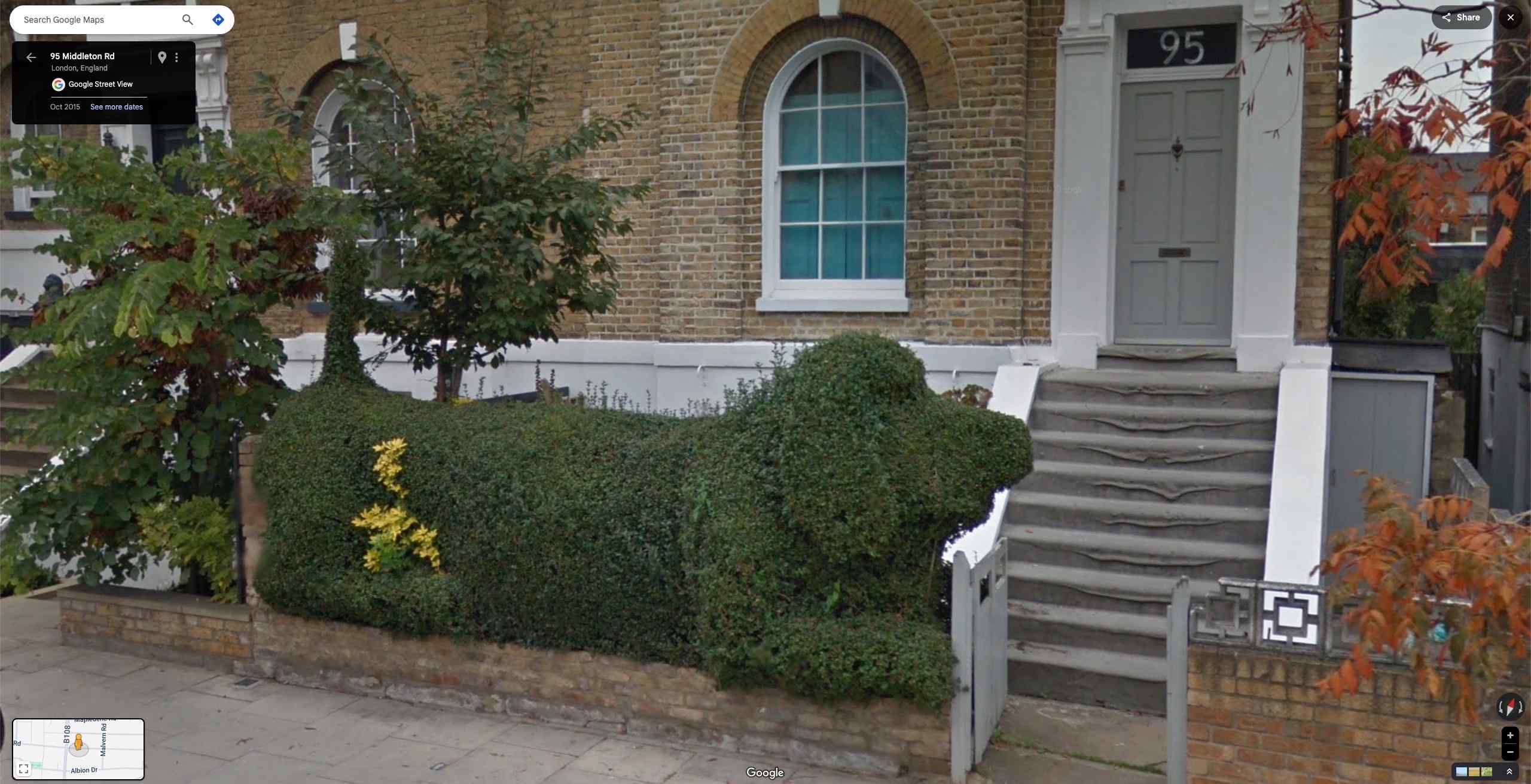 dog garden