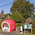 strawberry bus stop