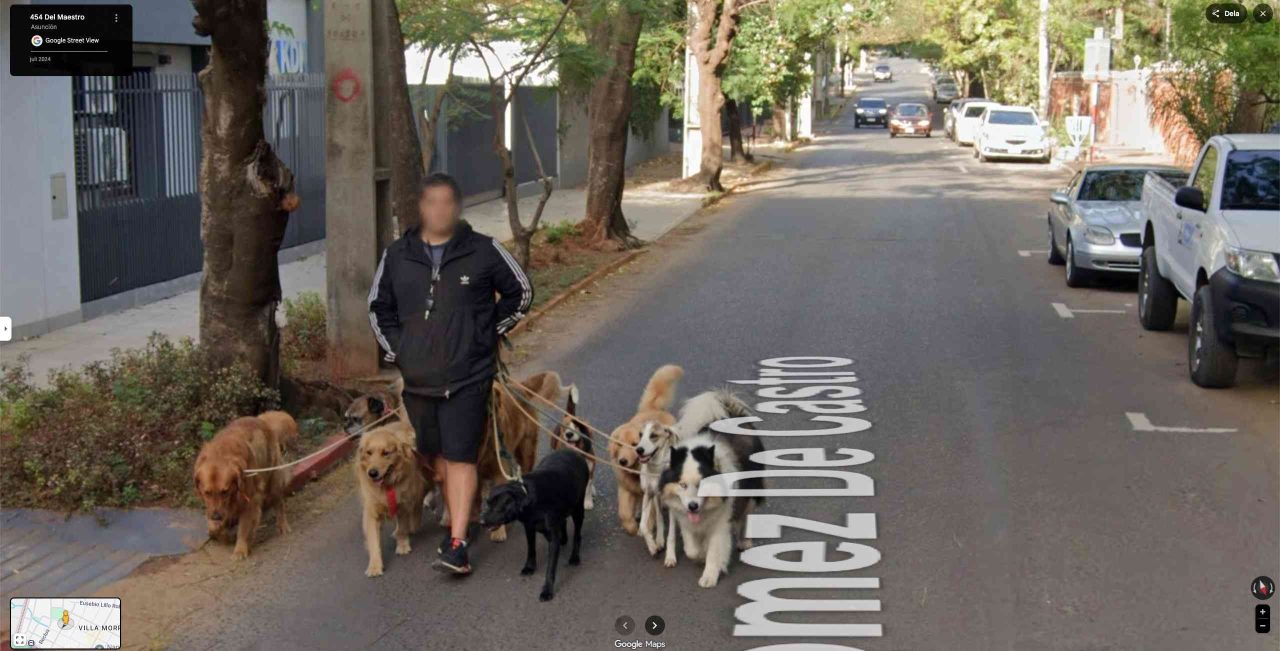 dog walker