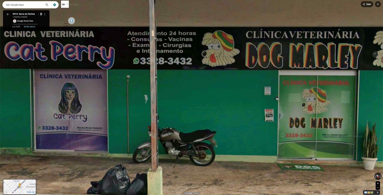 dog marley cat perry